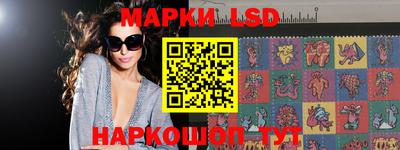 сатива Бердск