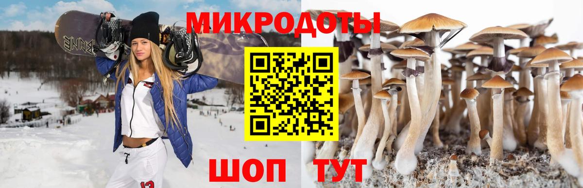Галлюциногенные грибы Cubensis Барнаул